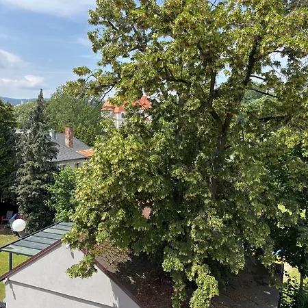 Luxusni Mezonet V Centru